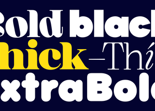 thick fonts