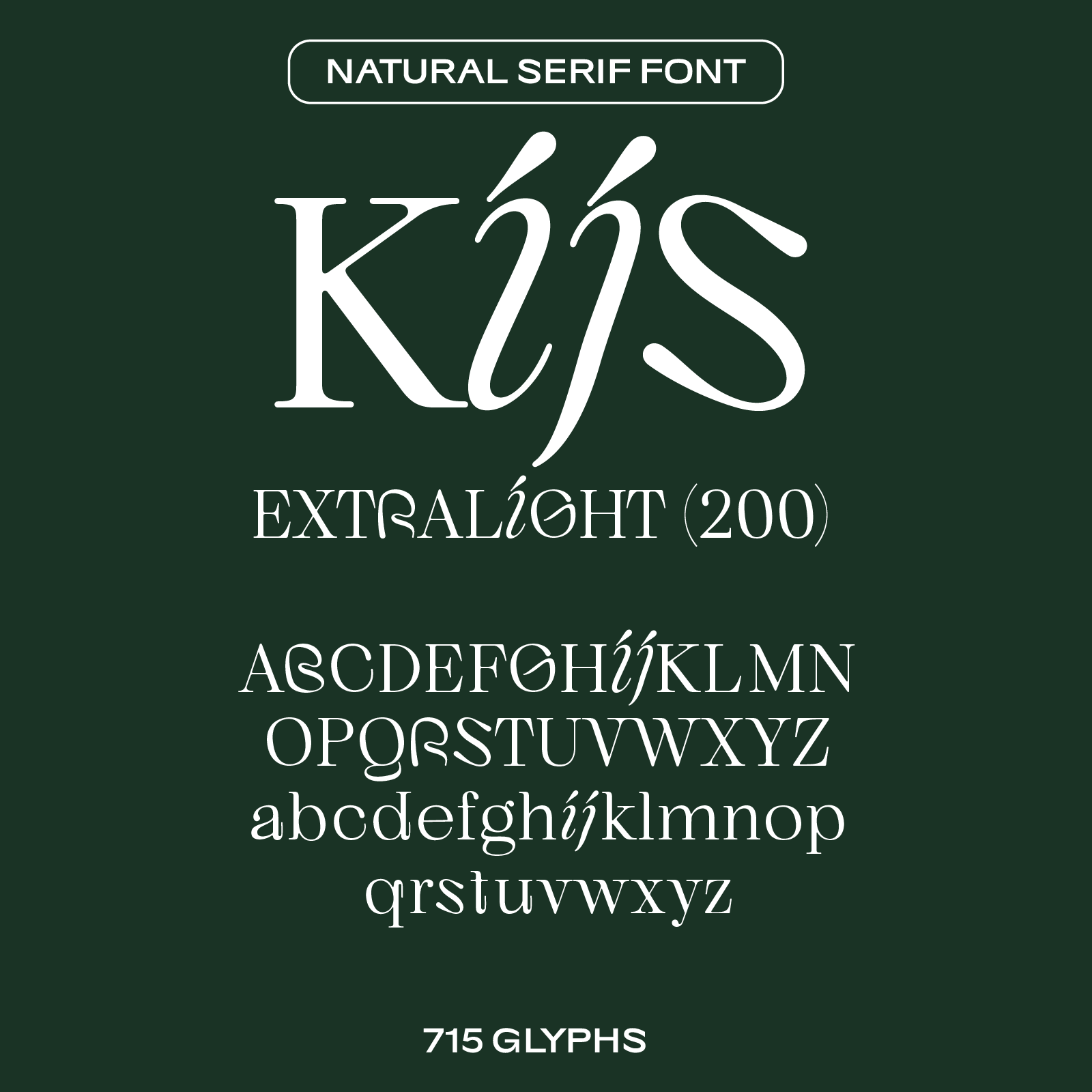 Xmas & Holiday Bundles