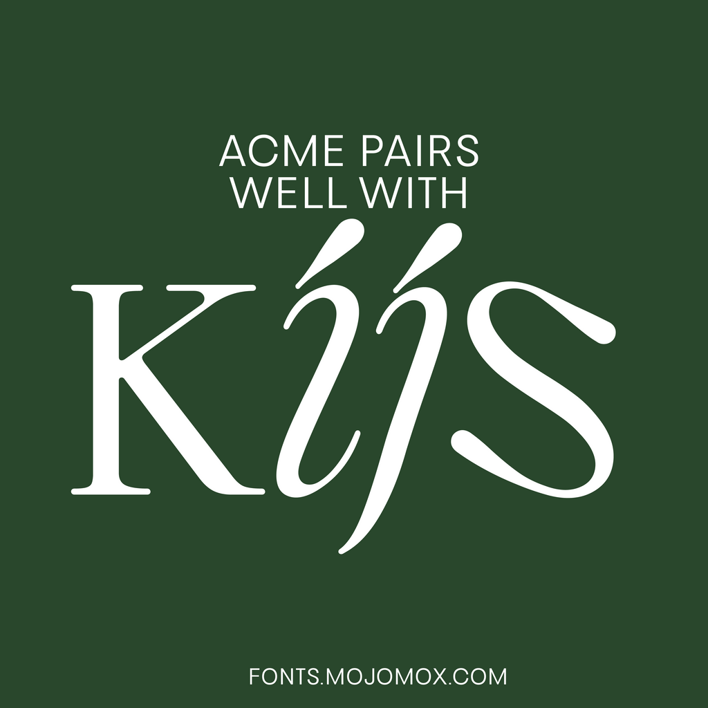 Bauhaus Acme—Modern, cool sans-serif font, clean and unique