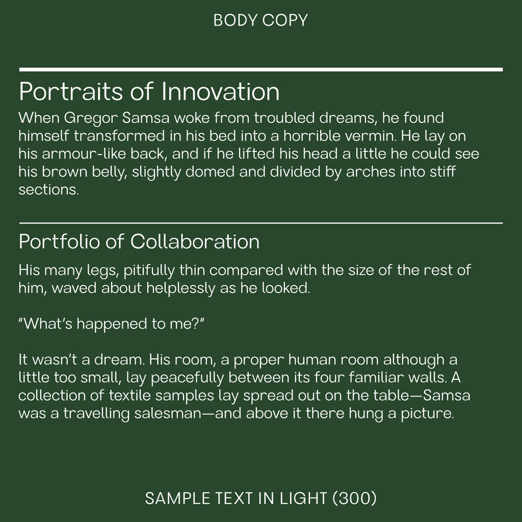 Bauhaus Acme—Modern, cool sans-serif font, clean and unique