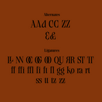 Display of typographic alternates and ligatures on a brown background