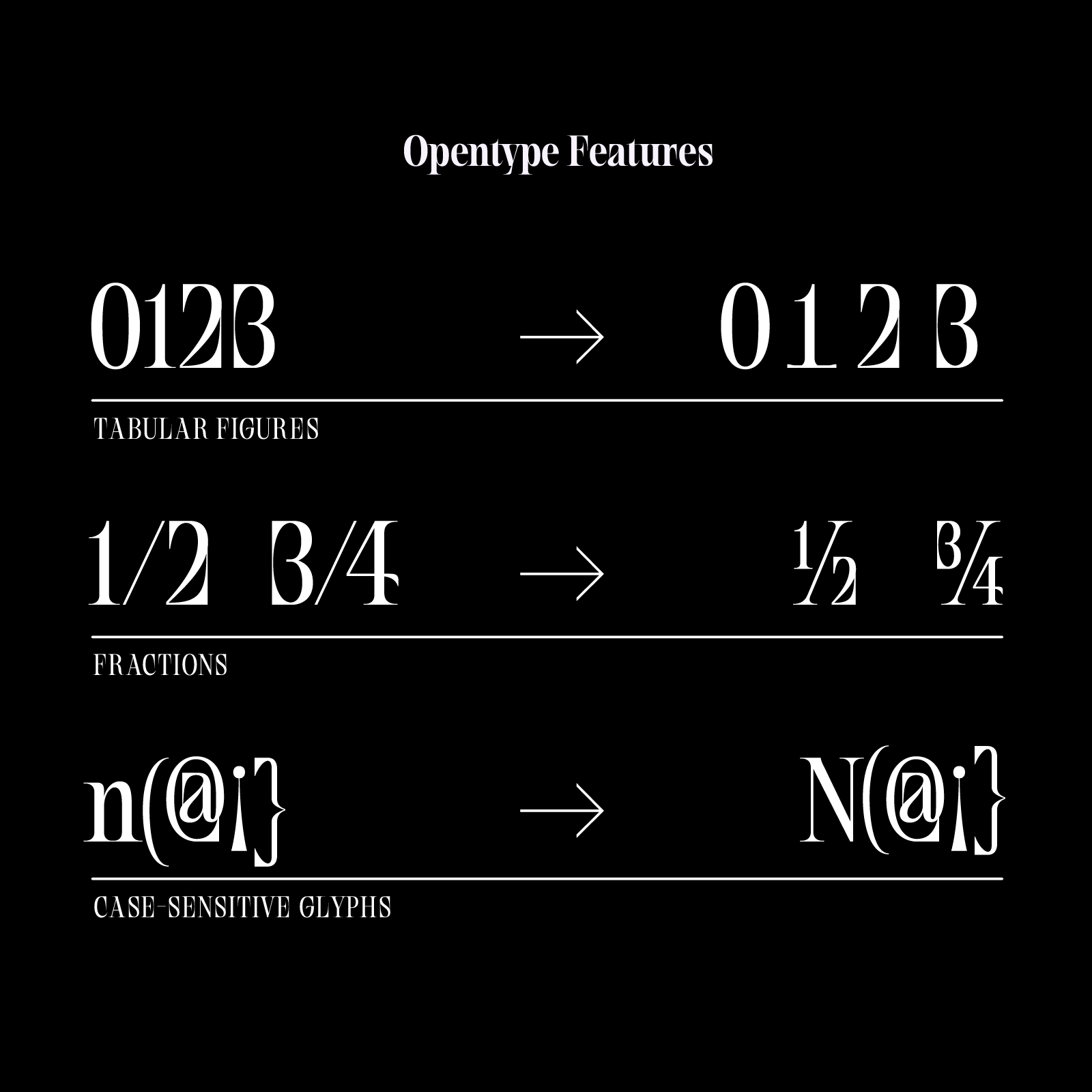Comparison of tabular figures, fractions, and case-sensitive glyphs in a typographic opentype feature display.