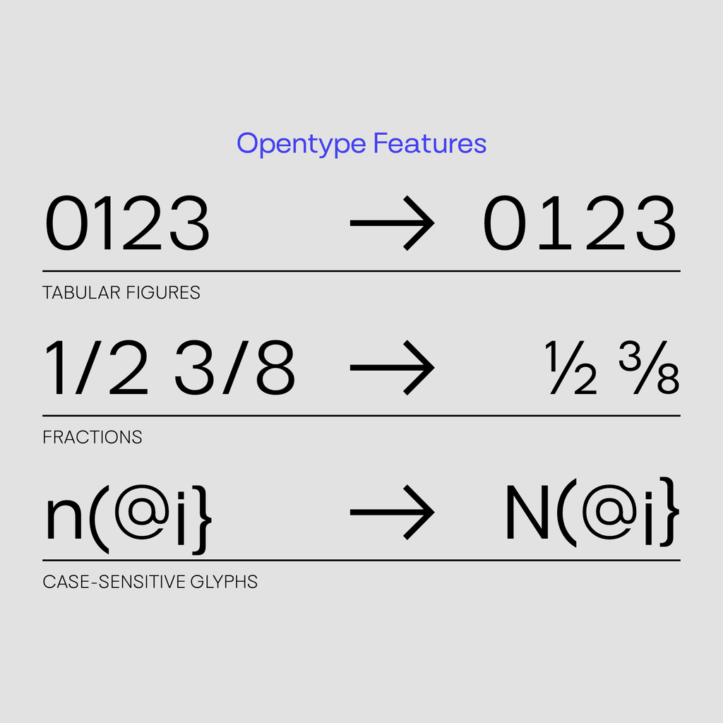 Opentype features demonstration with tabular figures, fractions, and case-sensitive glyphs