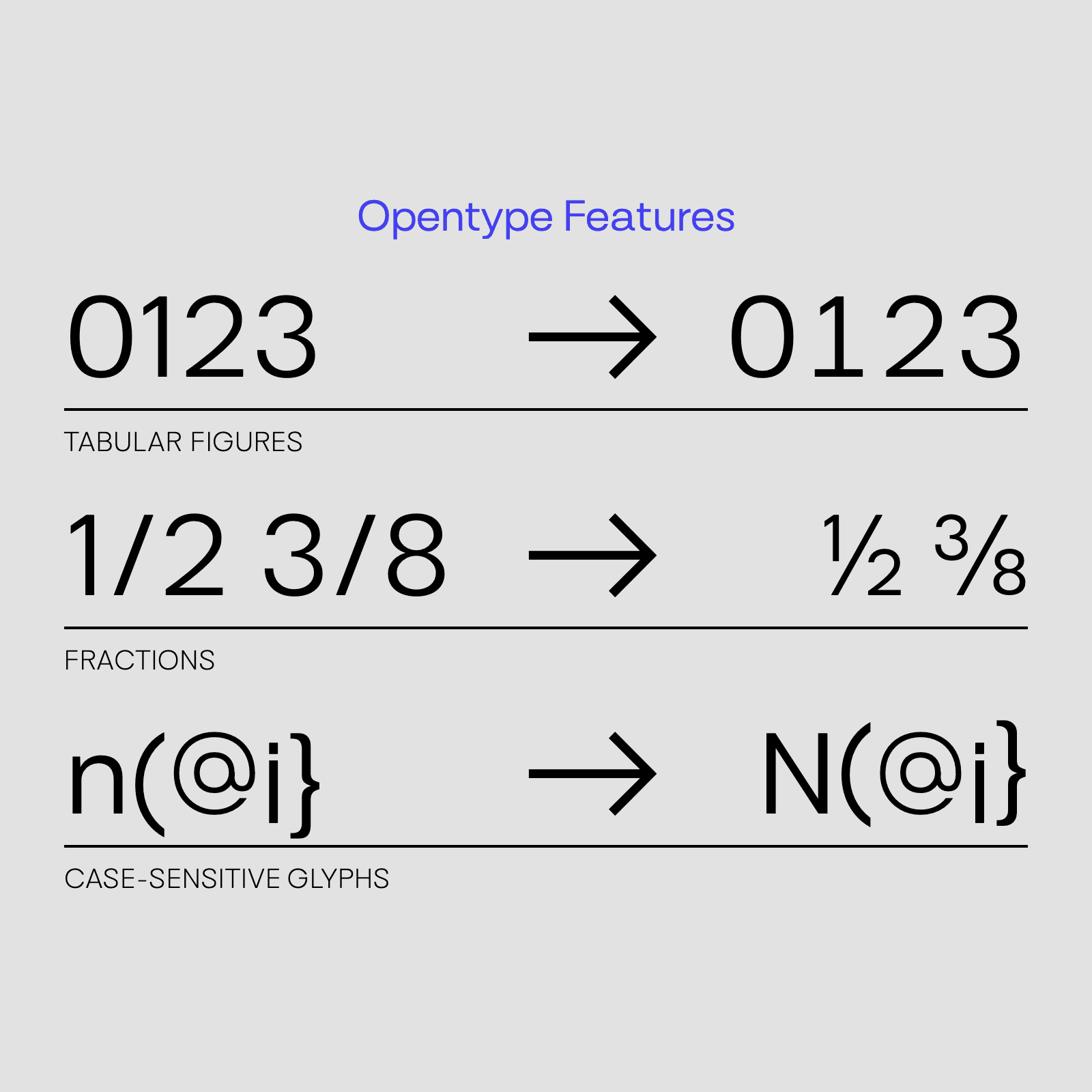 Opentype features demonstration with tabular figures, fractions, and case-sensitive glyphs
