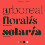 Logotype design examples with Kijs, natural font