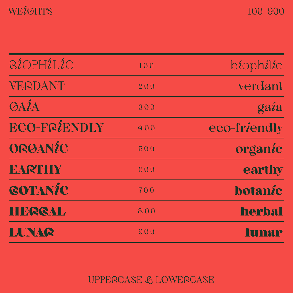 Kijs, 9 font weights from thin to black