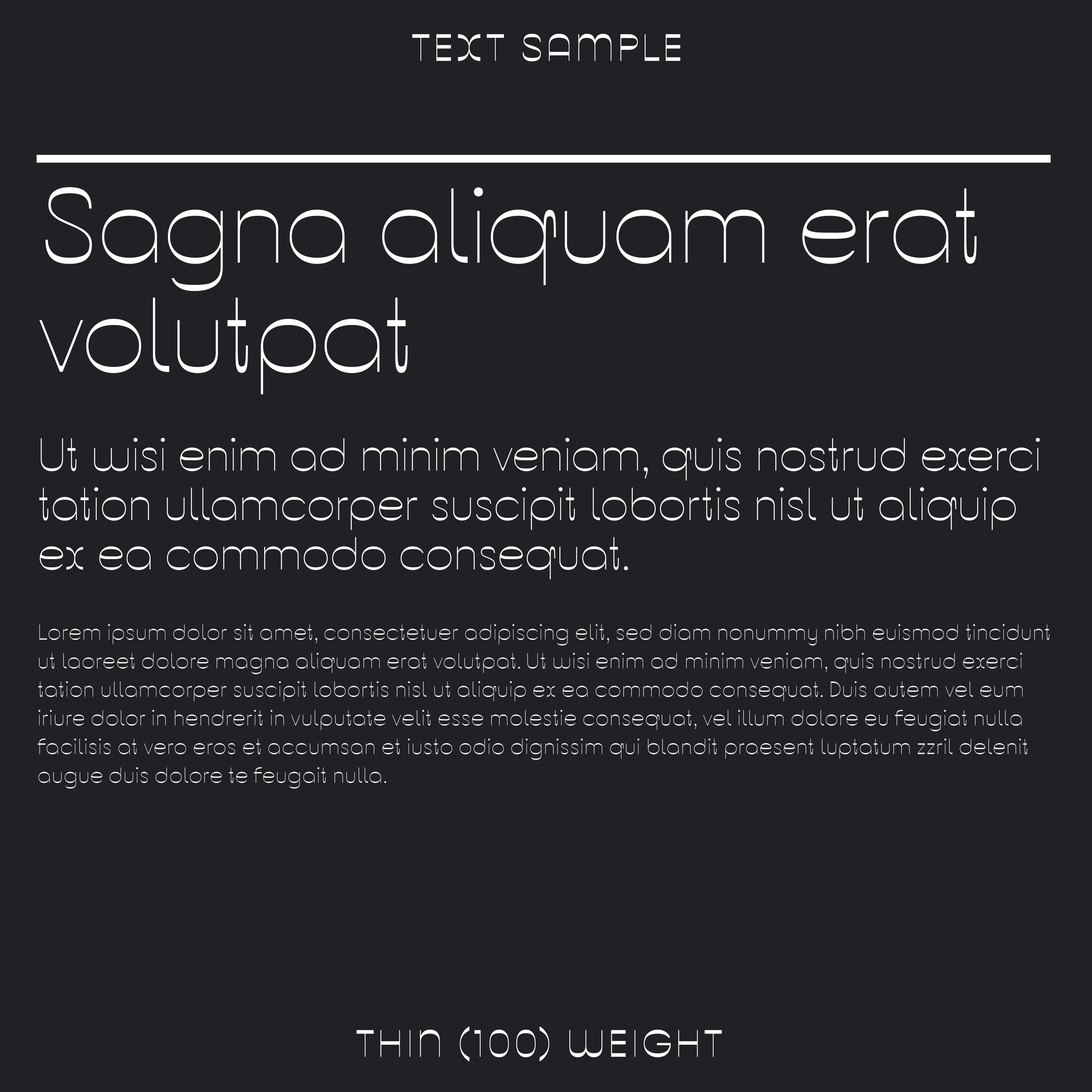 text sample