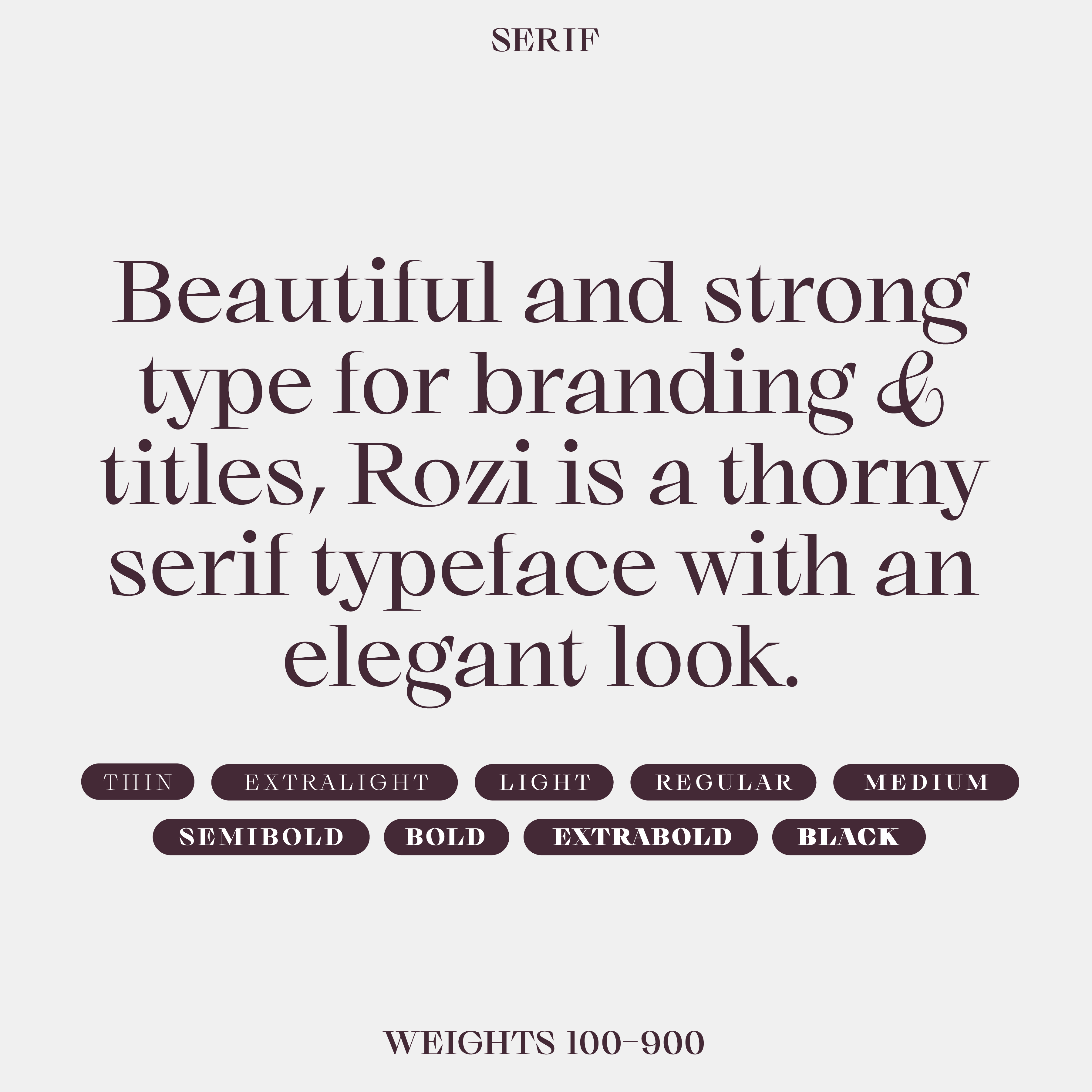 Rozi—Modern, elegant font with sharp serifs