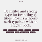 Rozi font weights, from Thin to Black