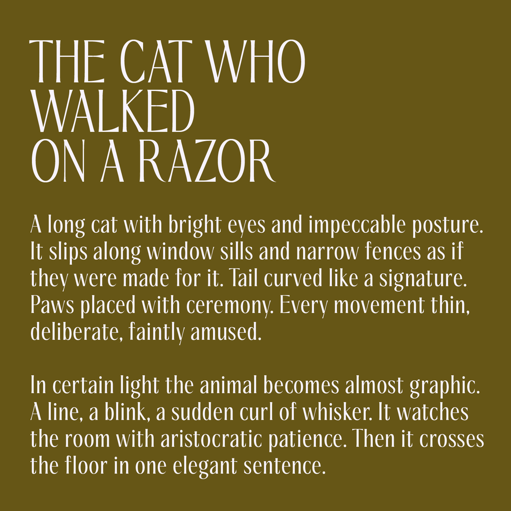 Saltz Serif—Sharp Condensed Font for Fashion & Beauty Branding