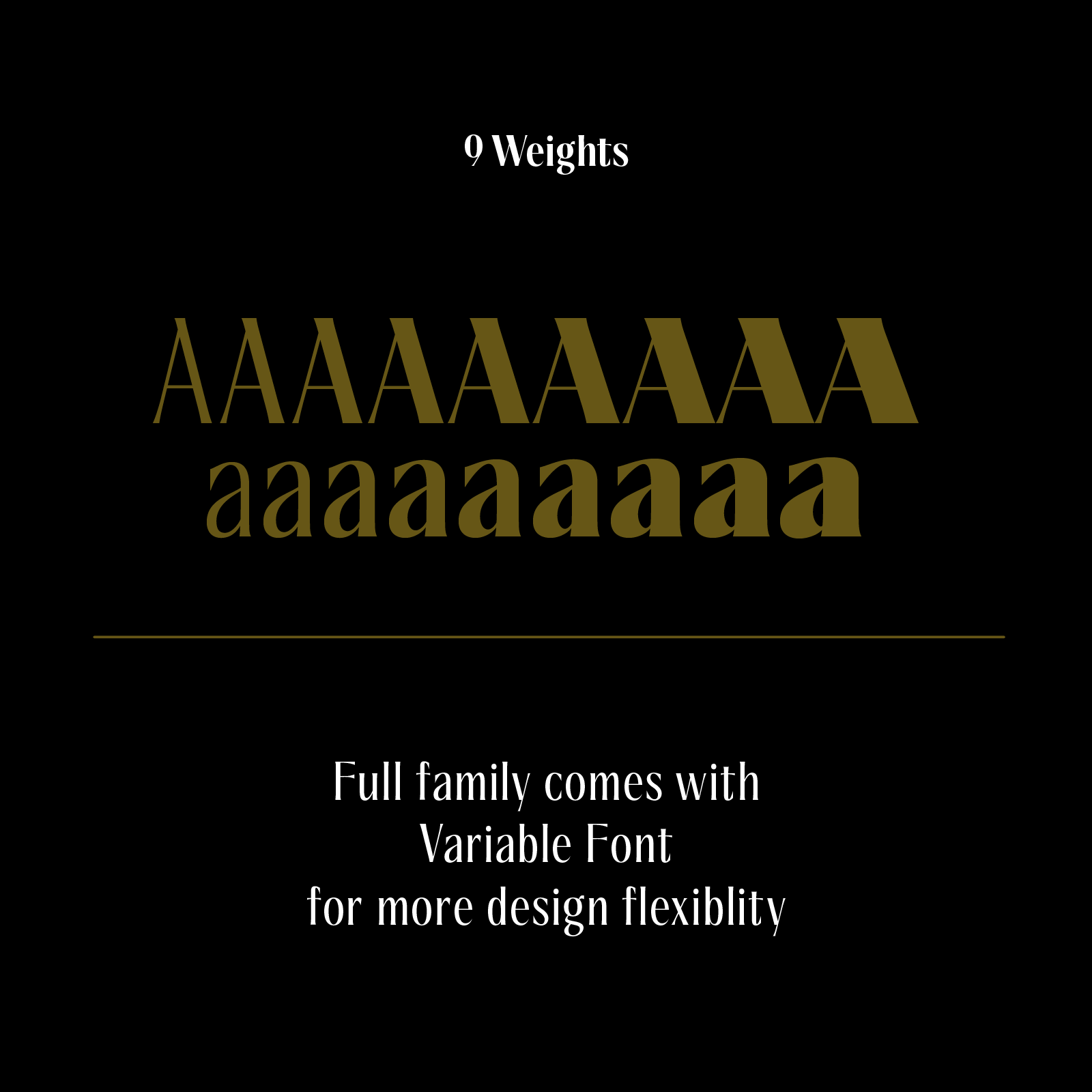 Saltz Serif—Sharp Condensed Font for Fashion & Beauty Branding