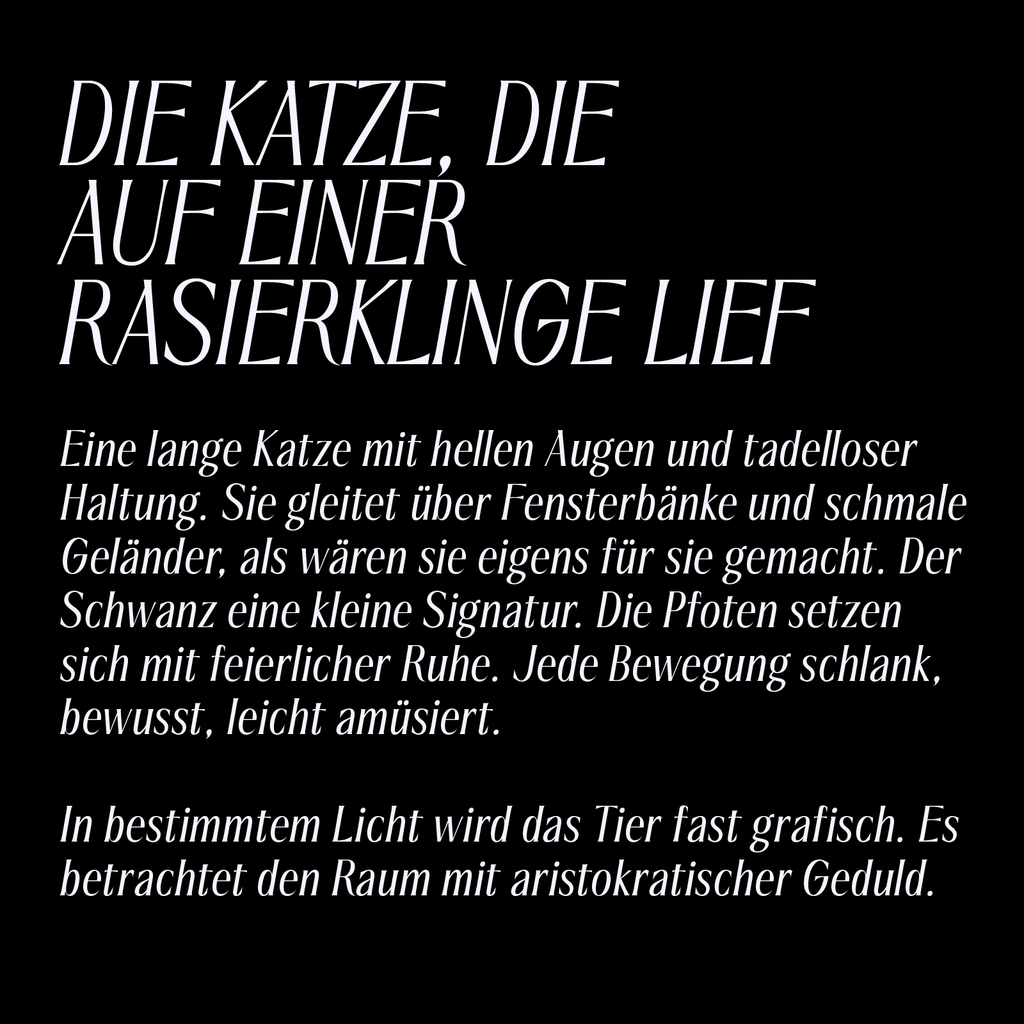 Saltz Serif—Sharp Condensed Font for Fashion & Beauty Branding