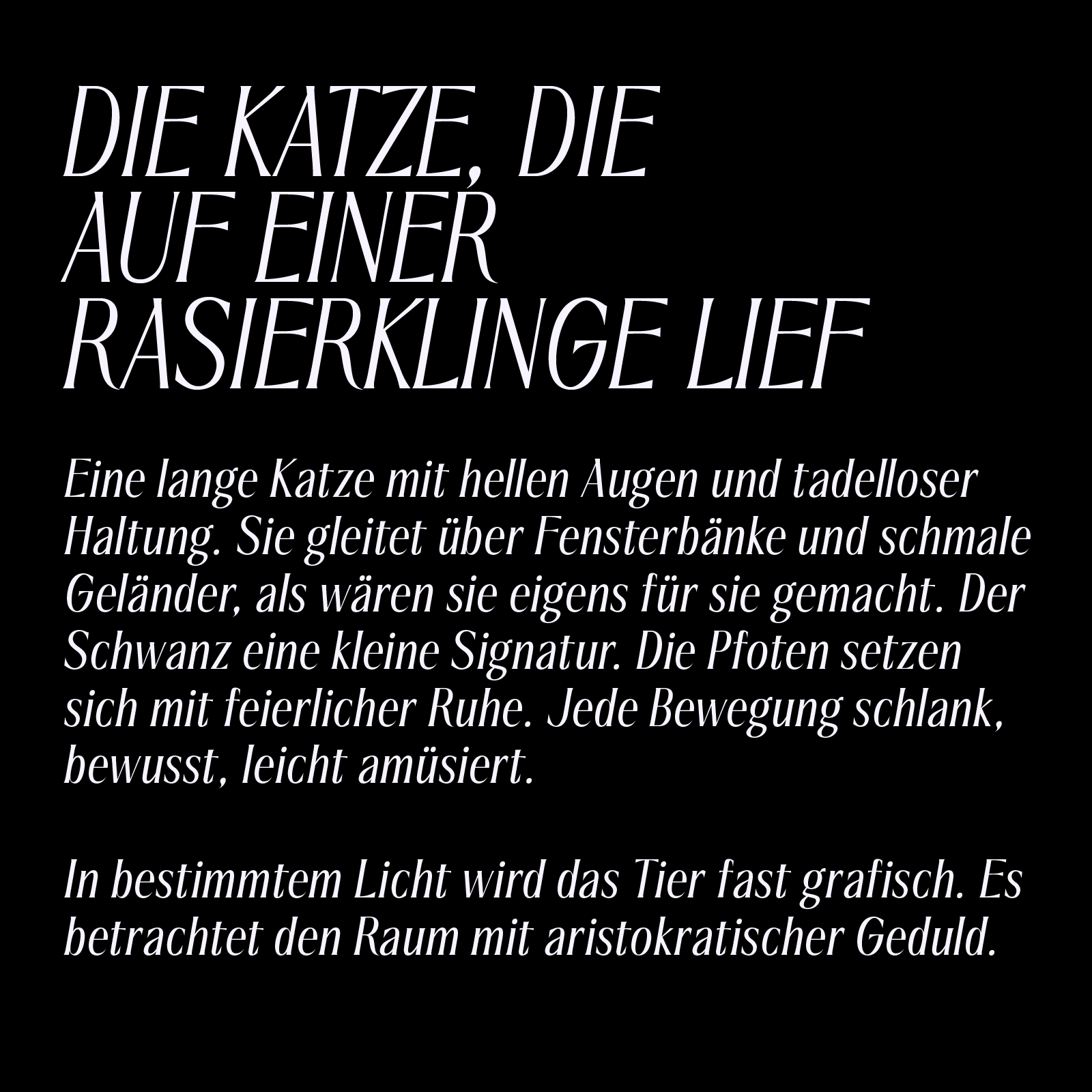 Saltz Serif—Sharp Condensed Font for Fashion & Beauty Branding