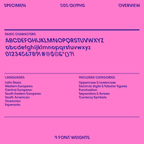 Slye, alphabet and languages overview