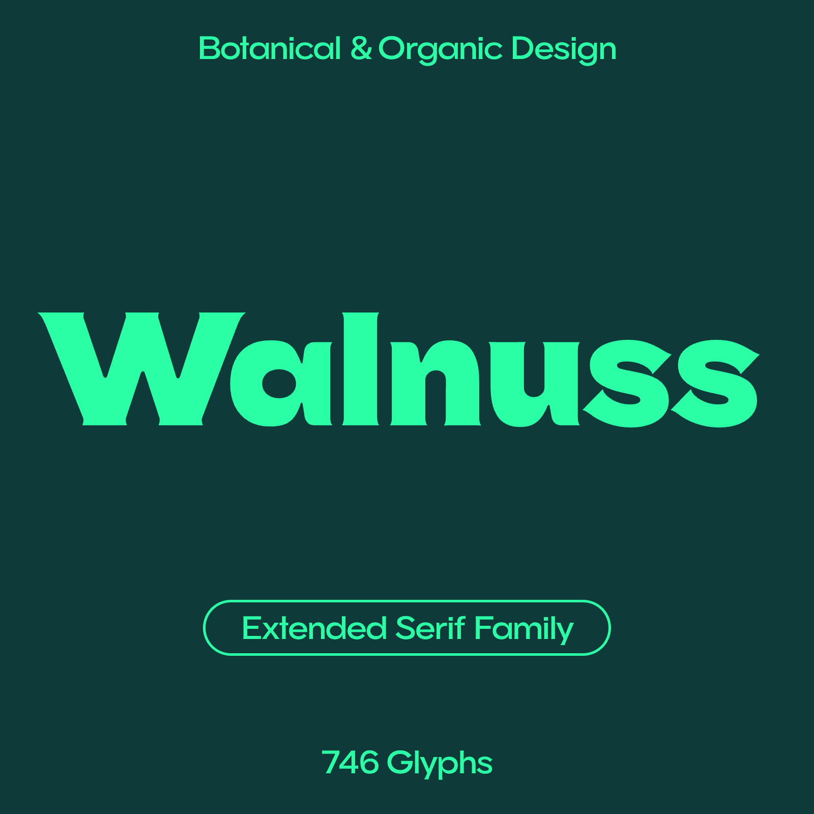 Walnuss expanded serif font brand overview
