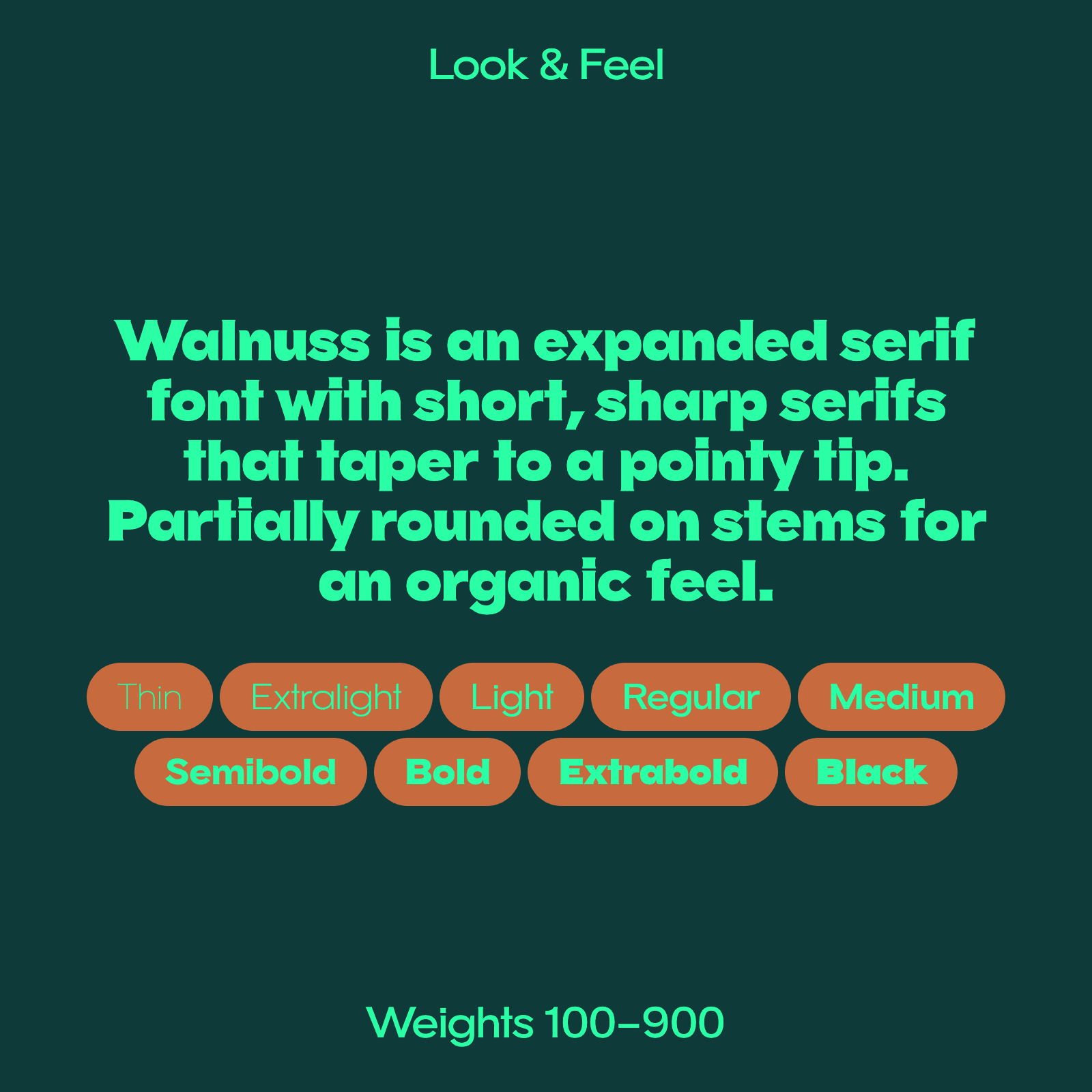 Walnuss expanded serif font description and weights