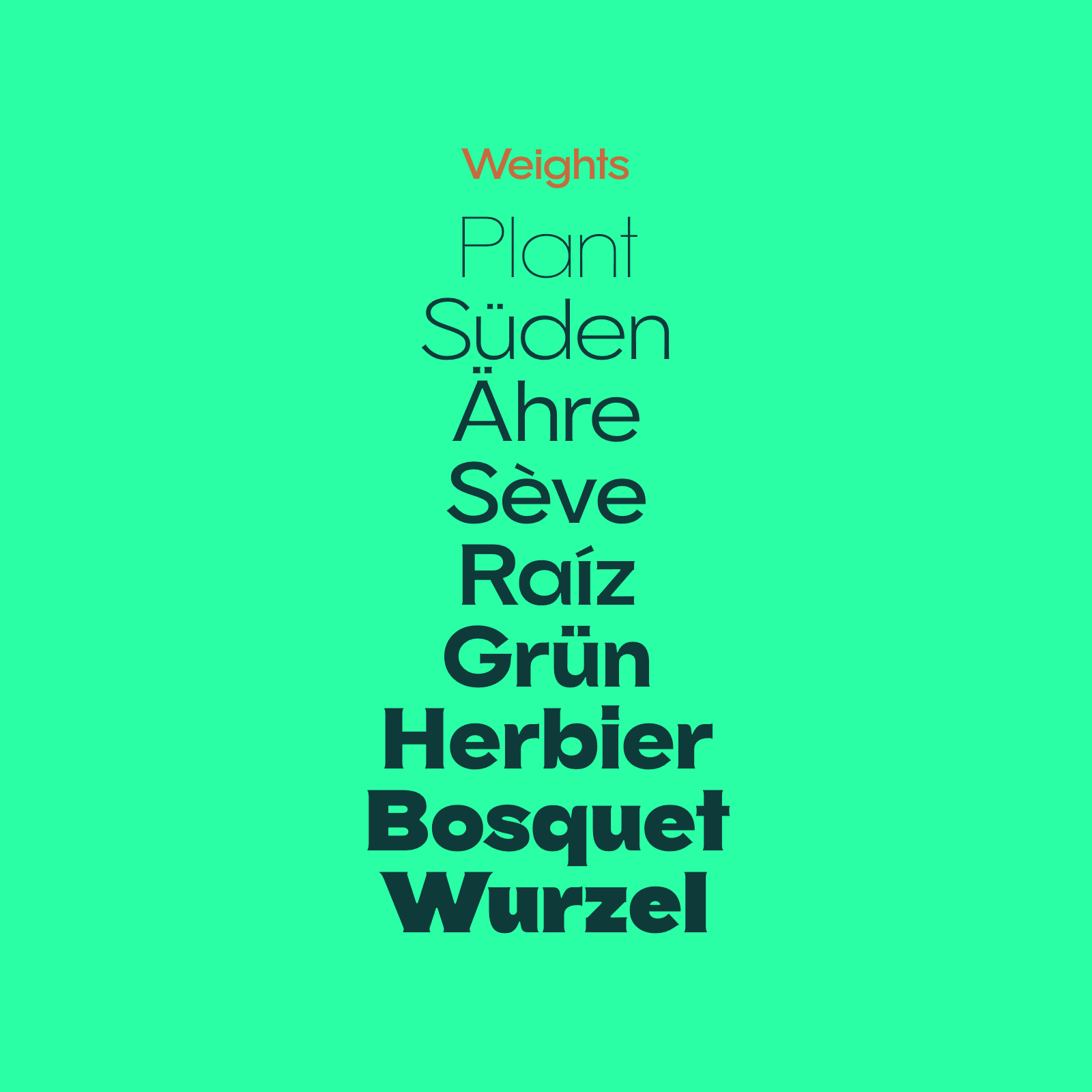 Walnuss expanded serif font inspirational weight words